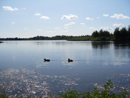 Notre jardin ou presque