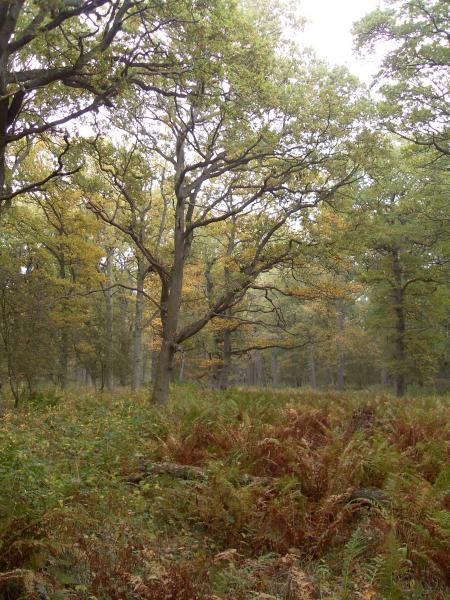 R�serve naturelle d'Ottenby